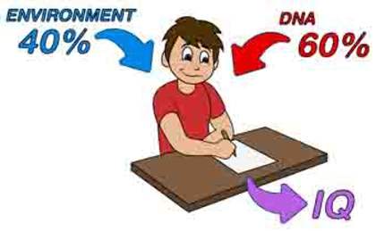 &nbsp; 2.14.ABOUT-INTELLIGENCE-IQ