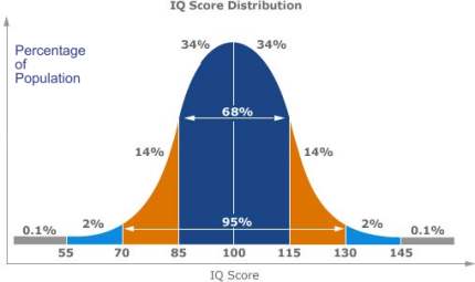 2.4.ABOUT-INTELLIGENCE-IQ