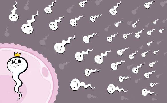 Do you want to have a highly successful child?